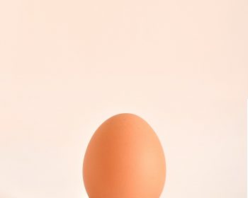 Les avantages pour la santé de manger des œufs